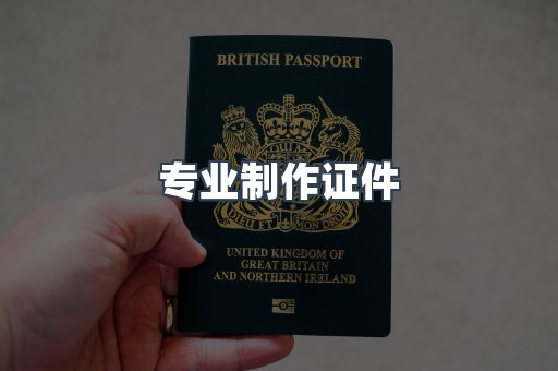 专业制作证件